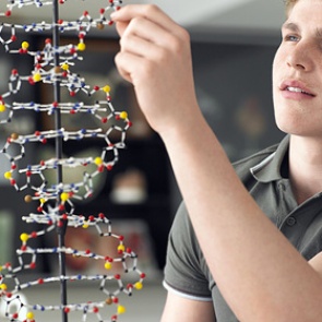 Раскрыта роль загадочных генов человека