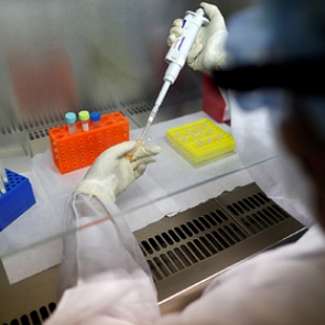 Коронавирус эволюционировал в новый тип