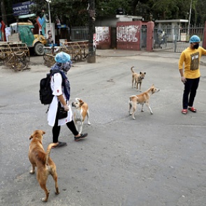 Назван главный виновник пандемии коронавируса