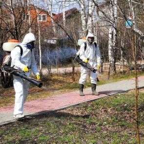 В середине мая в Ачинске пройдет противоклещевая обработка парков, скверов и общегородских мест памяти