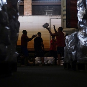 Миру предсказали голод библейского масштаба