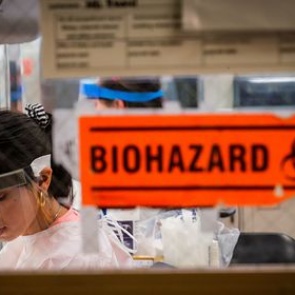 Обнаружено шесть новых симптомов коронавируса