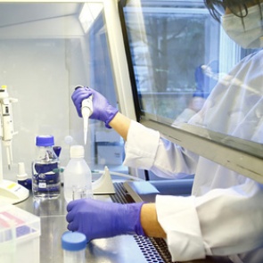 Объявлено о прорыве в создании лекарства от коронавируса