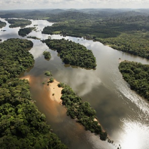Названа причина возникновения новой пандемии в будущем