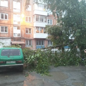 Ураганный ветер прошелся по Ачинску и повалил деревья