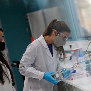 Обнаружена высокая выживаемость коронавируса осенью