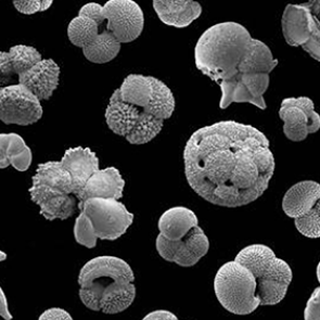 Раскрыта правда об изменении климата