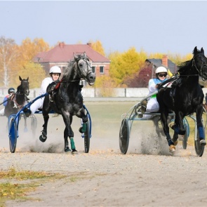 Наездницы из Красноярского края стали победительницами всероссийского чемпионата
