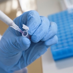 Создателей российской вакцины предложили выдвинуть на Нобелевскую премию