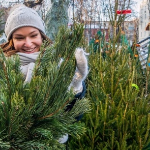 В Ачинске определены места, где будут работать «Елочные базары»