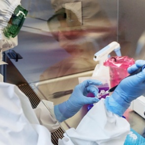 Обнаружены первые случаи «вечного» заражения коронавирусом