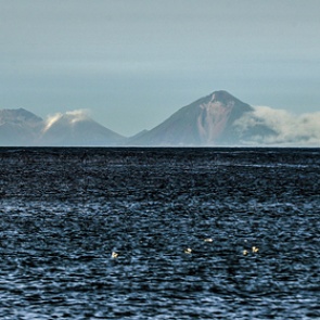 В Японии указали на необходимость блокады Южных Курил 3