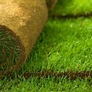 Как укладывать рулонный газон самостоятельно