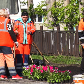 В Ачинске несанкционированную свалку превратили в клумбу