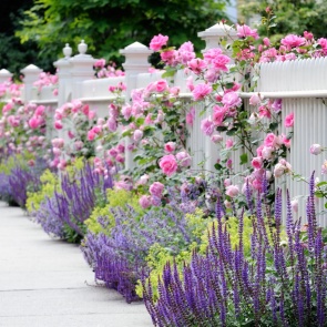 Не усложняйте: 4 дорогих предмета декора, которые на самом деле портят ваш придомовой участок