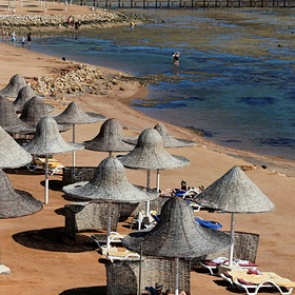 Российская делегация оценит эпидситуацию в Египте