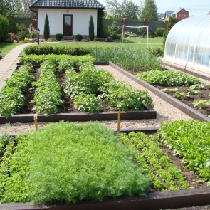 6 советов по оформлению сада на участке, где регулярно нет воды