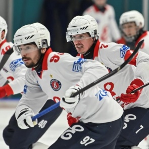 Роспотребнадзор запретил проводить в Красноярском крае спортивные игры с большим количеством болельщиков