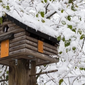 11 уютных идей декора для вашего сада зимой