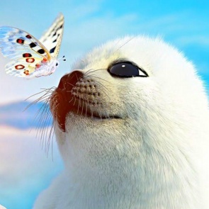 Байкал. Удивительные приключения Юмы (2020) - Путешествие отважной малышки-нерпы к Ушканьим островам