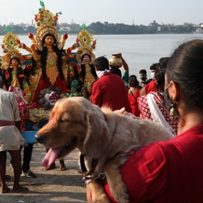 Россиянам разъяснили новые правила въезда в Индию