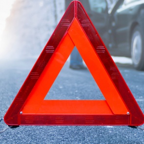 Автомобиль въехал в дерево или оно упало на машину – что делать, кто виноват и считается ли это ДТП?