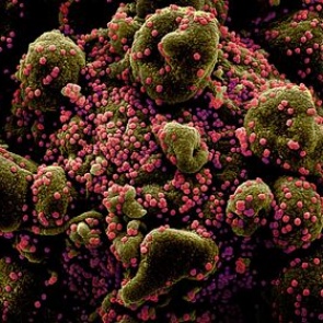 Ученые создали способный убивать коронавирус светильник